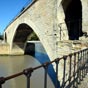 Large d'à peine 2,5 mètres, le pont prenait appui sur l'île de la Barthelasse où se trouvaient de nombreuses guinguettes au XIXe siècle : on dansait donc sous et non « Sur le pont d'Avignon » comme le raconte la chanson, à moins que celle-ci ne fasse référence non pas au pont de Saint-Bénezet en partie détruit depuis le XVIIe siècle mais à son remplaçant en bois édifié un peu plus loin, en 1811, sur le site de l'actuel pont Édouard Daladier.