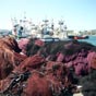 Déambulation sur le port de pêche. Les conserves de thon et de bonites à l'huile, conditionnées à Santoña , sont réputées à travers toute l'Espagne.
